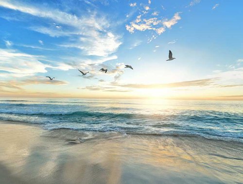 Meditation & Stressmanagement