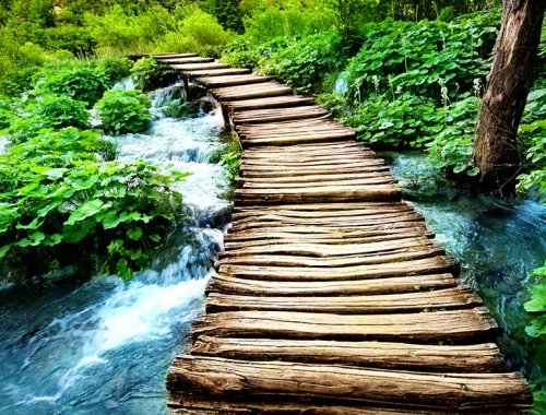 Systemische Therapie und Coaching